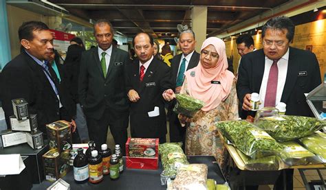 Isu pencerobohan tanah untuk penanaman durian secara haram sebelum ini dibangkitkan ahli parlimen raub, tengku zulpuri shah raja puji di dewan rakyat pada 23 julai lalu. Teroka manfaat herba | Harian Metro