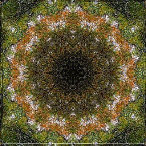 Into Autumn Kaleidoscopic Photograph By Charles Feagans
