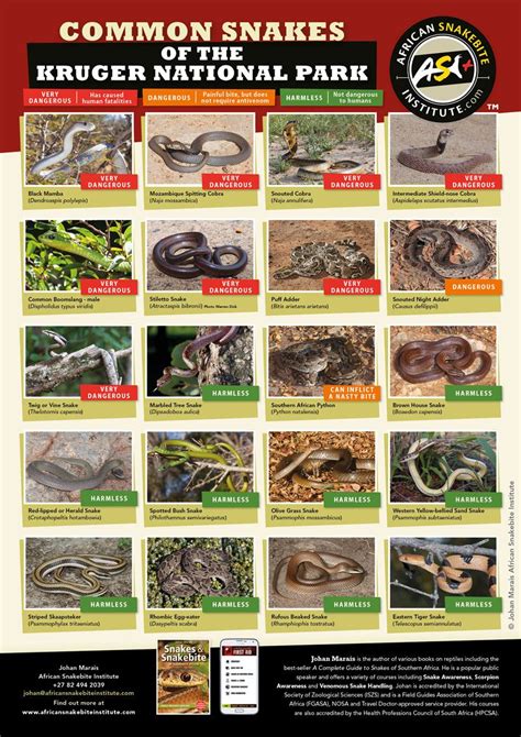 TravelComments Com Official Blog Free Poster Download The Common Snakes Of The Kruger National