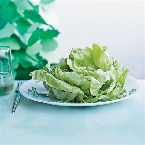Boston Lettuce Salad With Herbs Recipe Marcia Kiesel Food And Wine