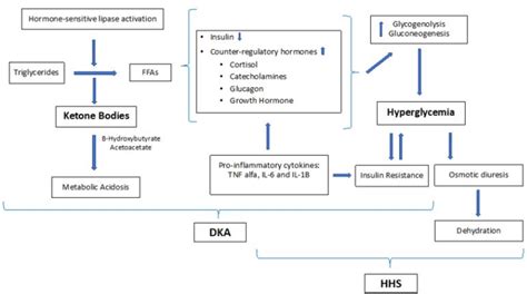 Hyperglycemic Crises A General Review