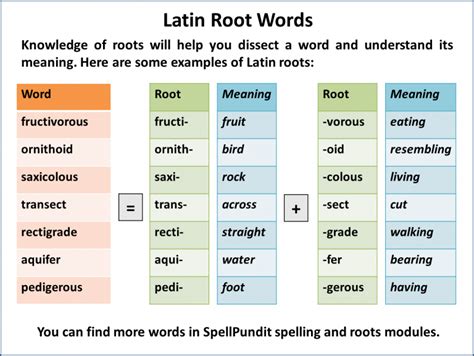 https//www.spellpundit.com Latin Root Words, Root Meaning, Parts Of