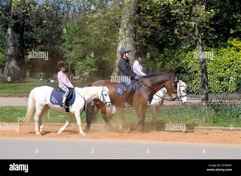 Three Horse Riders Kicking Up Dust Rotton Row Hyde Park London England