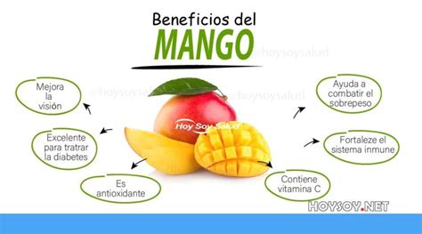 Beneficios Del Mango Y C Mo Prepararlo Fotos