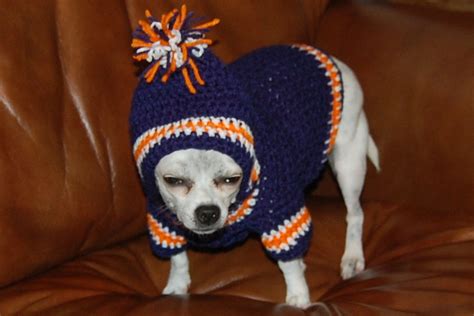 Posh Pooch Designs Dog Clothes Crochet Pattern Sports Team Dog Hoodie Pre Sale