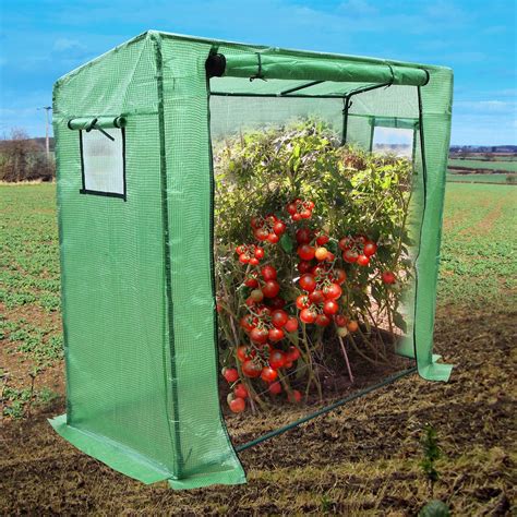 Sunrise 7x3x6 Portable Outdoor Backyard Tomato Greenhouse For