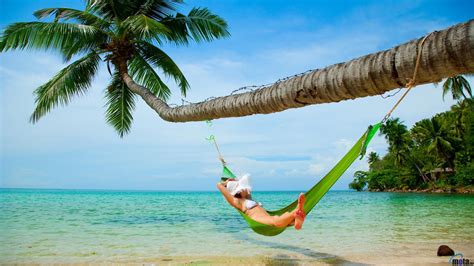 Tropical Beach Hammock Pictures Beach Hammock Beach Wallpaper Tropical Beach