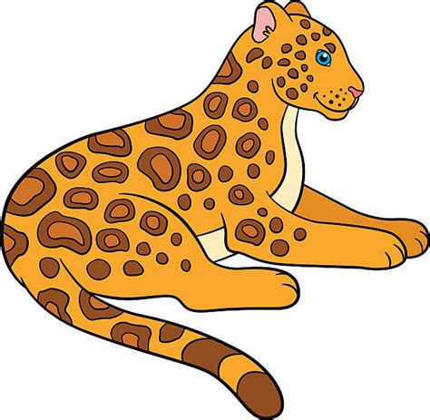 Royalty Free Jaguar Cub Clip Art Vector Images And Illustrations Istock