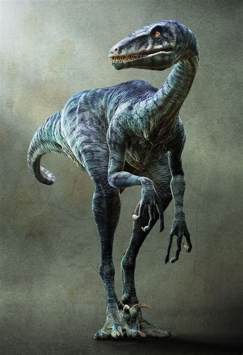 Velociraptor Prehistoric Dinosaur Pictures Prehistoric Animals