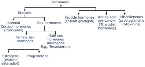 Classification Of Hormones