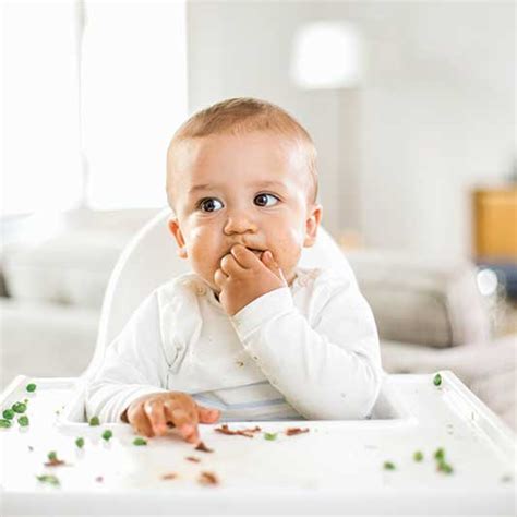 First Foods For Your Baby To Try When Beginning Ideas For Starting Out