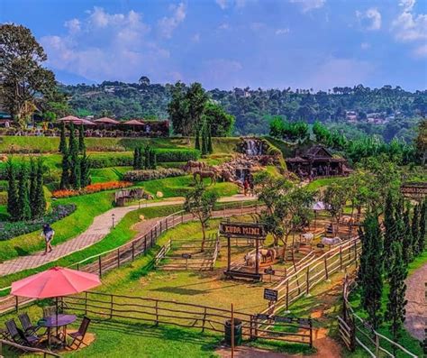 Villa dgn lantai dan dinding kayu, ruang tamu yang luas, kamar yg besar dan banyak jg fasilitas lainnya menjadi pilihan menarik untuk anda. Mau Ke The Ranch Puncak? Berikut Harga Masuk nya Terbaru ...