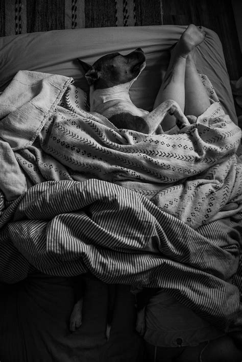 sleeping arrangement ~jany~ flickr