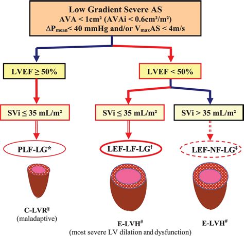 Clinical Subtypes Of Low Gradient Aortic Stenosis With Severe Narrowing
