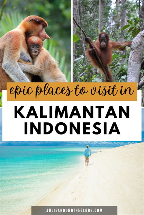 25 Best Things To Do In Kalimantan Itinerary