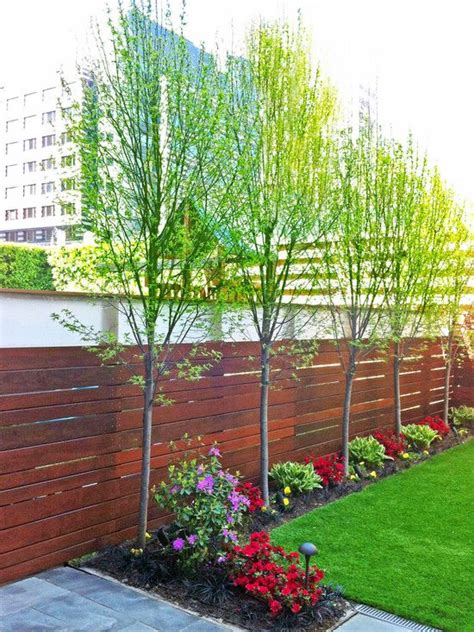 71 Fantastic Backyard Ideas On A Budget Privacy Fence Landscaping