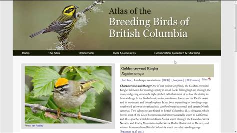 Bc Breeding Bird Atlas Webinar Professional Youtube
