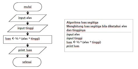 Algoritma Flowchart Menghitung Luas Lingkaran Segitiga Persegi Panjang Dan Menampilkan