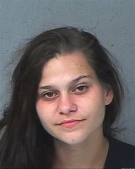 Chelsea Lane Burglary Suspect Tries To Flee By Doing Backstroke Florida Cops Huffpost