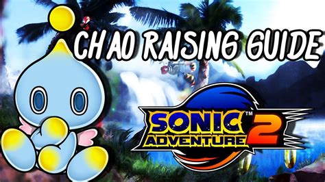 Sonic Adventure 2 Xbox 360 Chao Raising Overview Heaven Or Hell