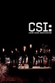 Poster del Programa / Serie: CSI