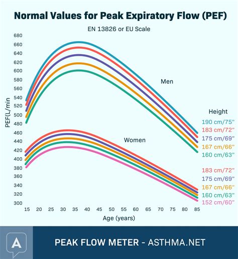 Printable Asthma Peak Flow Chart