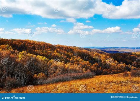 The Autumn Forest And Cloudscape Stock Photo Image Of Mongolia