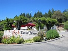 David Bruce Winery in Los Gatos, CA, a Santa Cruz Mountains Winery