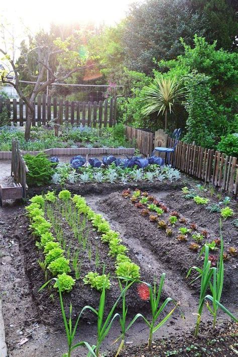 25 Creative Indoor Vegetable Garden Ideas You Should Check Sharonsable