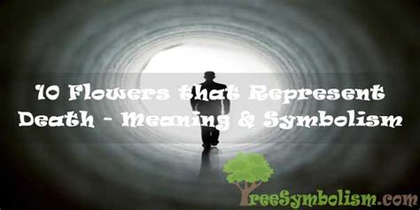 Most of these flowers symbolizing death are also popular choices for funeral flowers. 10 Flowers that Represent Death - Meaning & Symbolism