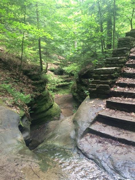 Maybe you would like to learn more about one of these? Clifty Falls State Park Cabins - HOME DECOR