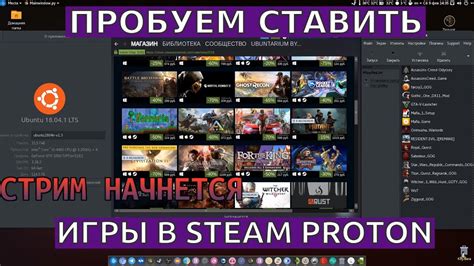 БУДЕМ СТАВИТЬ ИГРЫ В Steam Proton И Play On Linux 18stream Cutpromo