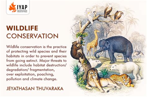 What Is The Goal Of Wildlife Conservation Safasindie