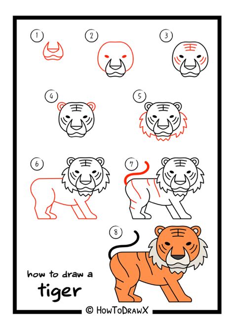 Drawing Lesson How To Draw A Tiger Step By Step Drawing Lessons