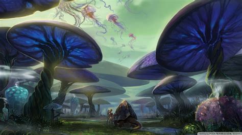 About Trippy Mushroom Forest Wallpaper Hd Online