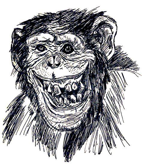 Artstation Crazy Monkey