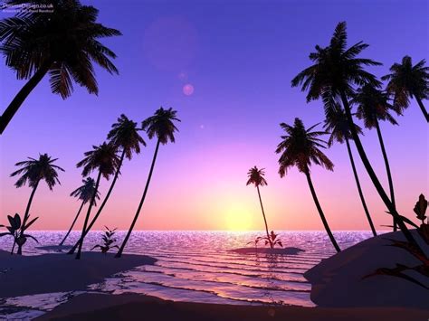 Image For Beach With Palm Trees And Sunset Beach Scene Wallpaper