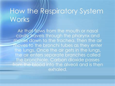 Respiratory System Powerpoint