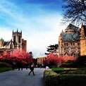 University of Washington Seattle. So beautiful! I miss my campus! (With ...
