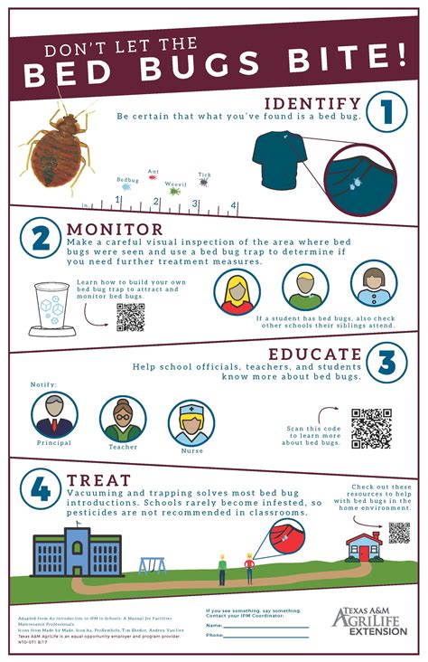 Identifying Bed Bugs