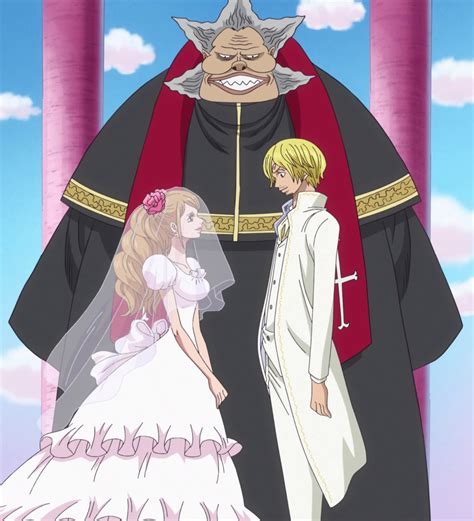 Luffy And Boa Hancock Marriage Imagesee