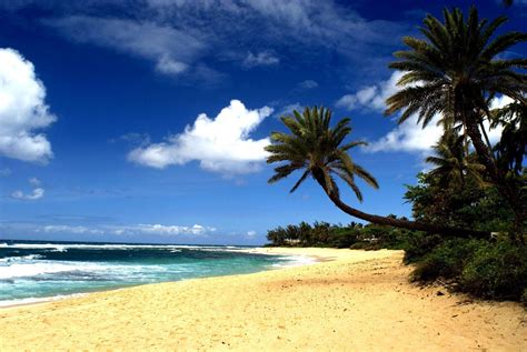 Hawaiian Beach Wallpapers Wallpaper Cave