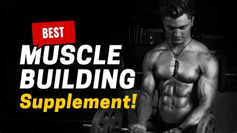 The Ultimate Guide To Building Muscle Mass Best Muscle Building