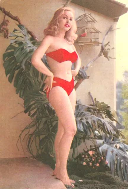 Julie Newmar Hollywood Starlet Actress Pin Up Cheesecake 1950s Postcard 2 75 Picclick