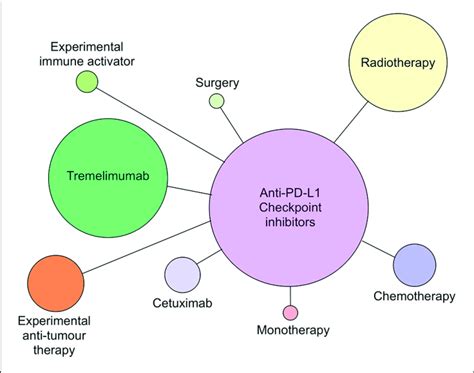 Anti Pd L1 Antibodies Atezolizumab Avelumab And Durvalumab Currently