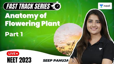 Anatomy Of Flowering Plant Part 1 Fast Track Revision Neet 2023