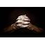 Hands Of Praying Man 2 Photograph By Alain De Maximy