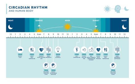 Circadian Rhythm Sleep Disorder Reset Your Circadian Rhythm