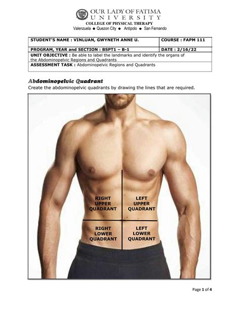 Solution Anatomy Abdominopelvic Quadrants And Regions Studypool