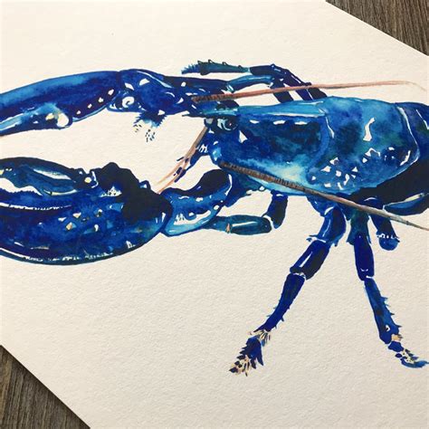 Blue Lobster Giclee Fine Art Print Welshcoastal Co